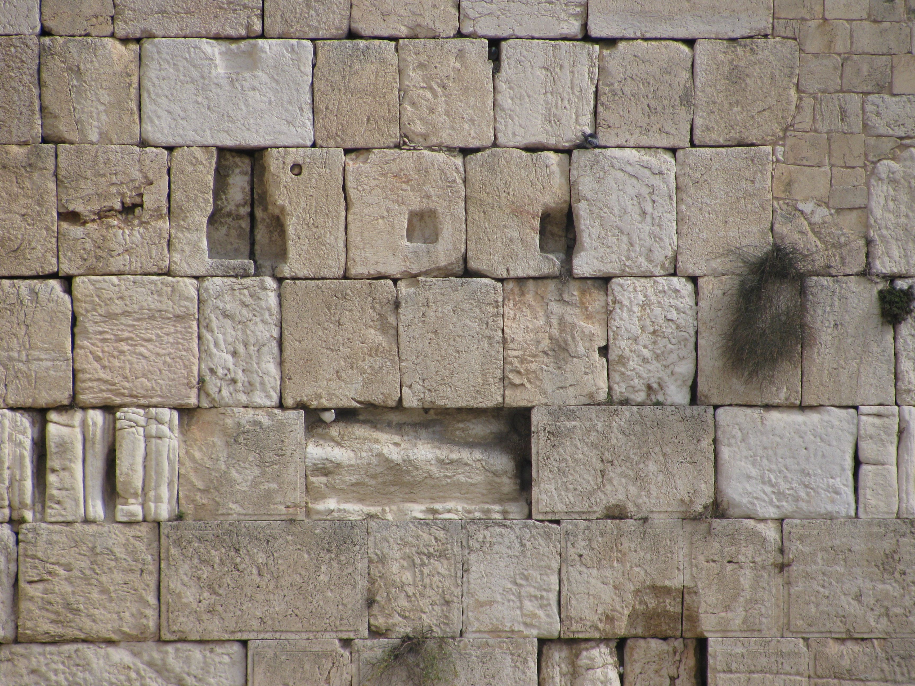Western Wall | Midlife Bat Mitzvah
